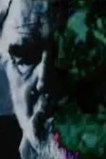 Póster de Garden Path