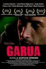 Póster de Garúa