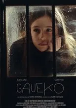 Póster de Gaueko