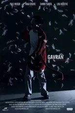 Póster de Gavran