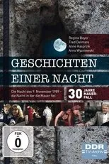 Póster de Geschichten einer Nacht