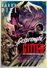Póster de Gesprengte Gitter