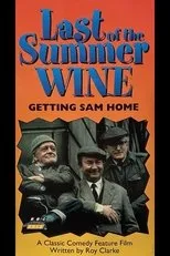 Póster de Getting Sam Home
