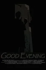 Póster de Good Evening
