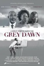 Póster de Grey Dawn