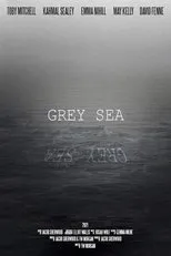 Póster de Grey Sea
