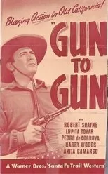 Póster de Gun to Gun
