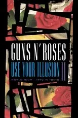 Póster de Guns N' Roses: Use Your Illusion II