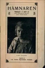 Póster de Hämnaren