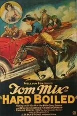 Póster de Hard Boiled