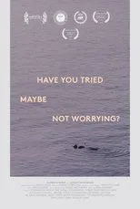 Póster de Have You Tried, Maybe, Not Worrying?