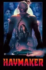 Póster de Haymaker