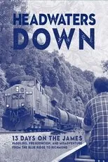 Póster de Headwaters Down