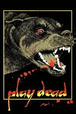 Póster de Hechizos diabólicos