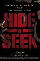 Póster de Hide N Seek