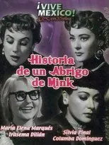 Póster de Historia de un abrigo de mink