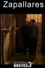 Póster de Historias breves III: Zapallares