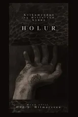 Póster de Holur