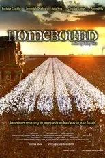 Póster de Homebound