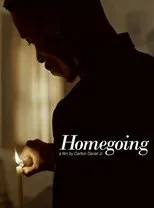 Póster de Homegoing