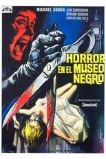 Póster de Horror en el museo negro