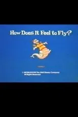 Póster de How Does It Feel to Fly?