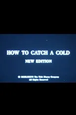 Póster de How to Catch a Cold