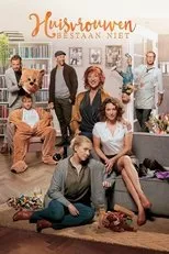 Póster de Huisvrouwen bestaan niet