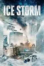 Póster de Ice Storm