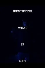 Póster de Identifying What's Lost