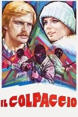Póster de Il colpaccio