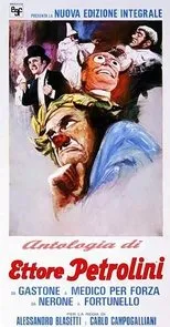 Póster de Il medico per forza