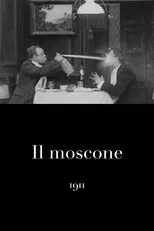 Póster de Il moscone