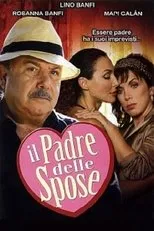 Póster de Il padre delle spose