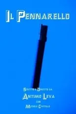 Póster de Il pennarello