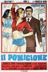 Póster de Il pomicione