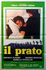 Póster de Il prato