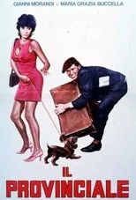 Póster de Il provinciale