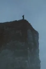 Póster de Il s'est tiré