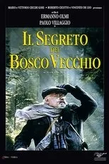 Póster de Il segreto del bosco vecchio