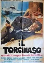 Póster de Il torcinaso