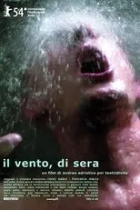 Póster de Il vento, di sera