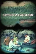 Póster de Ilustrate cu flori de câmp