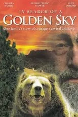 Póster de In Search of a Golden Sky
