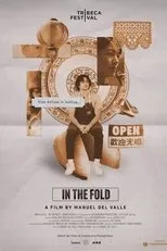 Póster de In The Fold