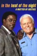 Póster de In the Heat of the Night: A Matter of Justice