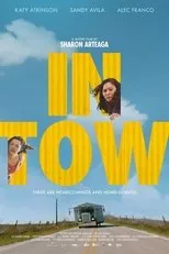 Póster de In Tow