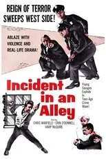 Póster de Incident in an Alley