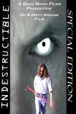 Póster de Indestructible
