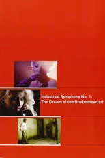 Póster de Industrial Symphony No. 1: The Dream of the Brokenhearted